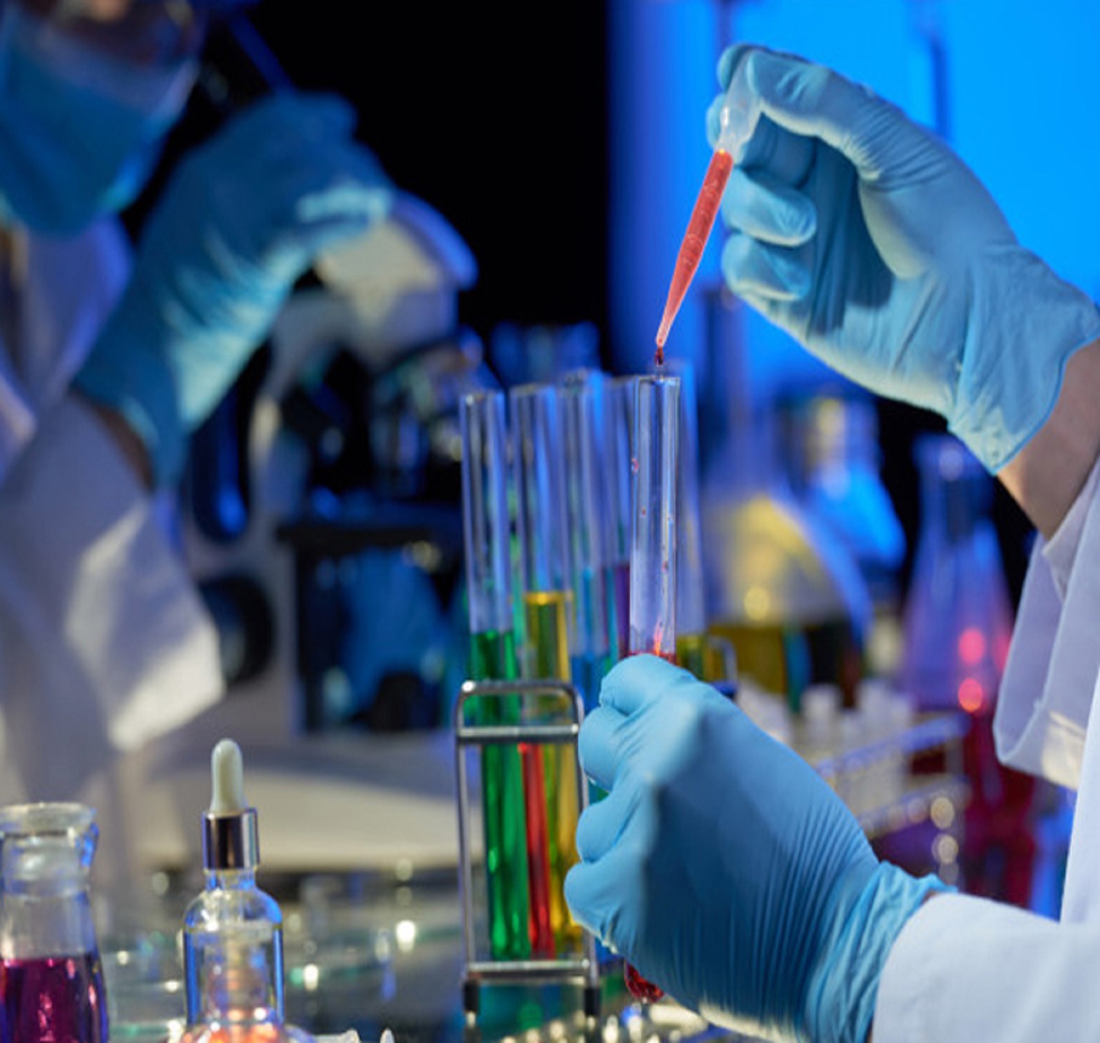 Head of the Departments for Each Course: